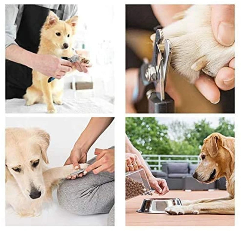 🐾 Cortador de Unhas Profissional para Pets com Protetor de Segurança – Anipaw